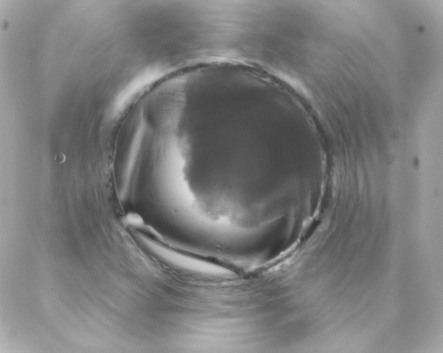 X0000088141359200705291347