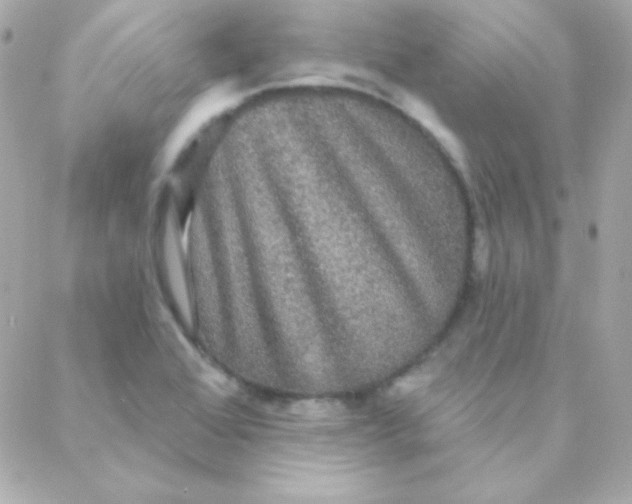 X0000088141368200705291347