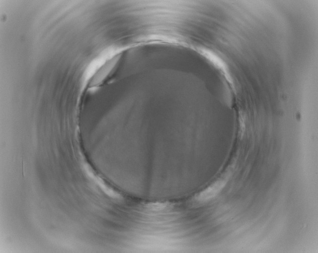 X0000088141373200705291347
