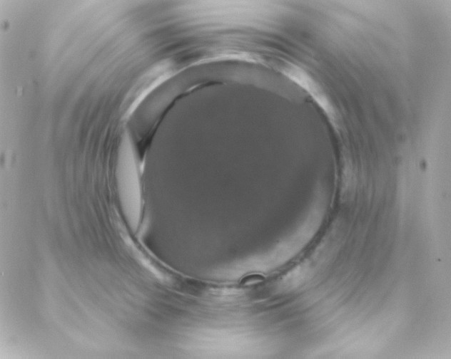 X0000088141377200705291347