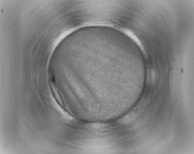 X0000088141380200705291347