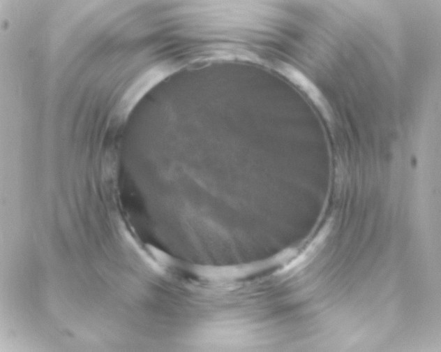 X0000088141385200705291347