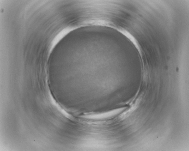 X0000088141389200705291347
