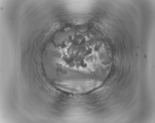 X0000088141393200705291346