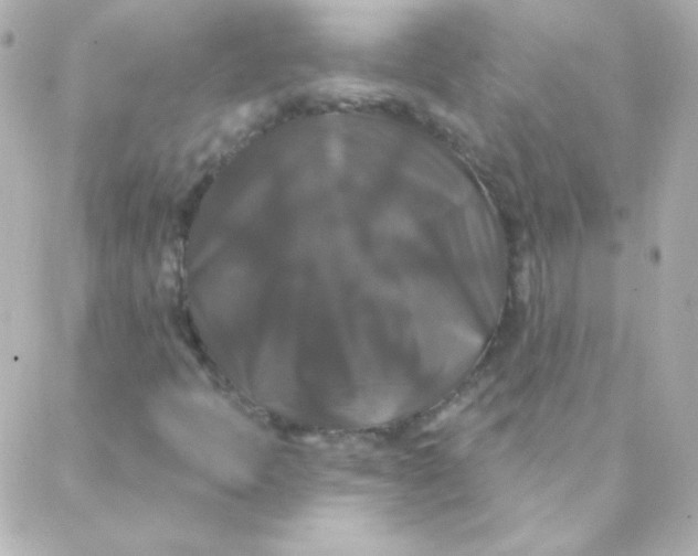 X0000088141397200705291346