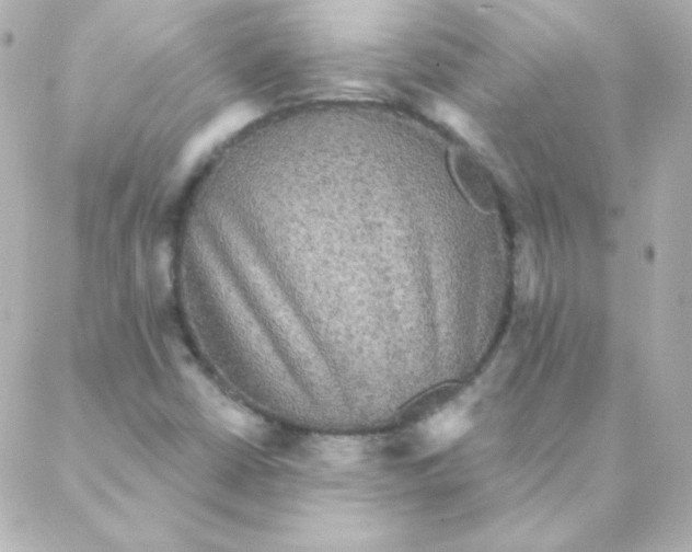 X0000088141402200705291346