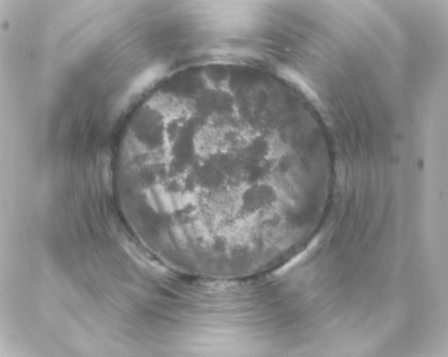 X0000088141403200705291346