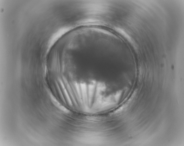 X0000088141413200705291346