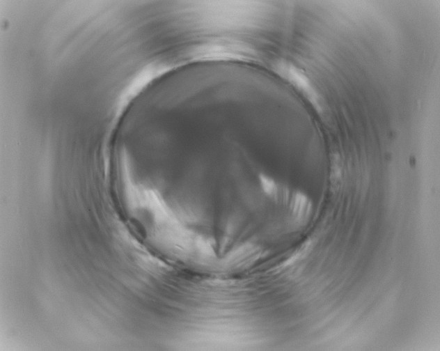 X0000088141419200705291346
