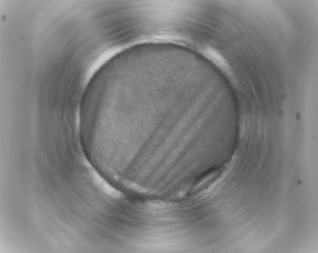 X0000088141420200705291346