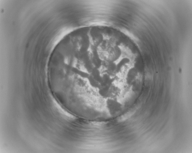 X0000088141423200705291346