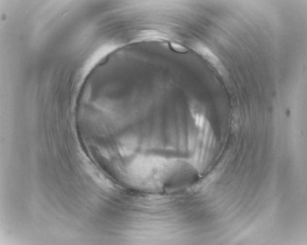 X0000088141427200705291346