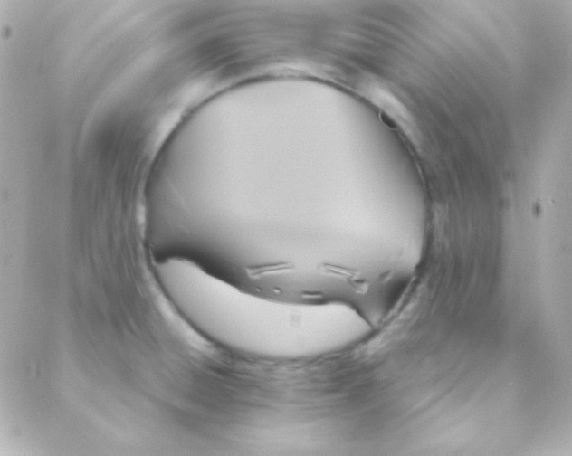 X0000088141428200705291347