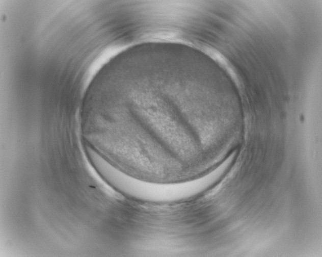 X0000088141432200705291347