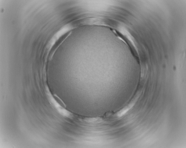 X0000088141434200705291347