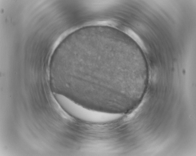 X0000088141436200705291347