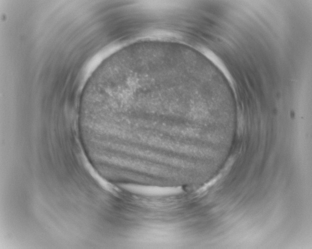 X0000088141437200705291347