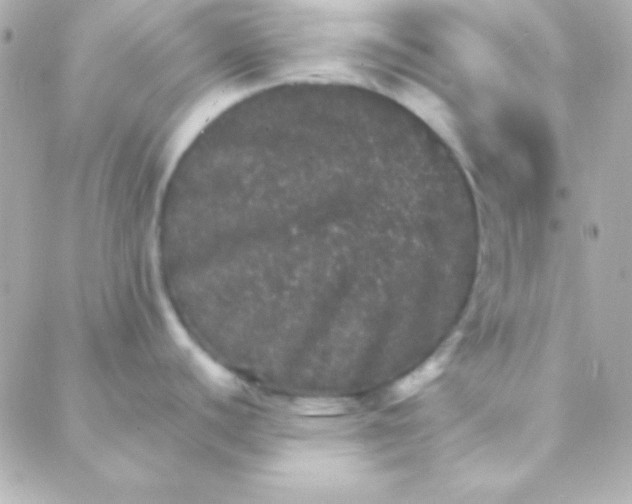 X0000088141440200705291347