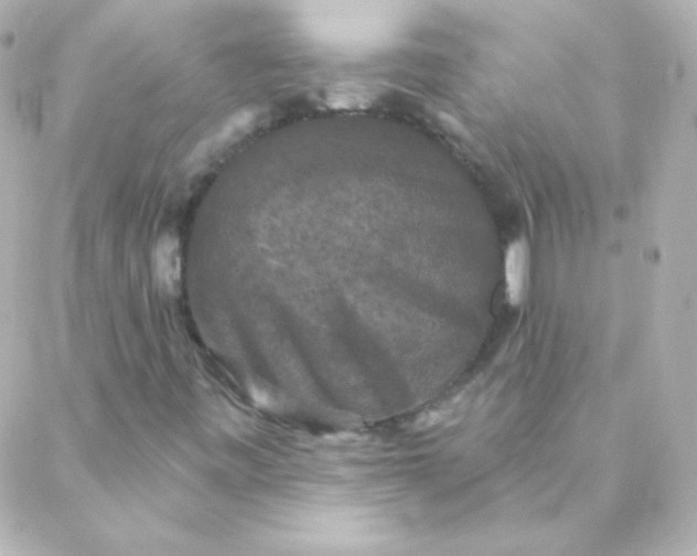 X0000088141443200705291346