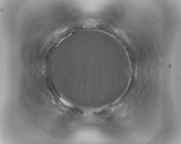 X0000088141445200705291346
