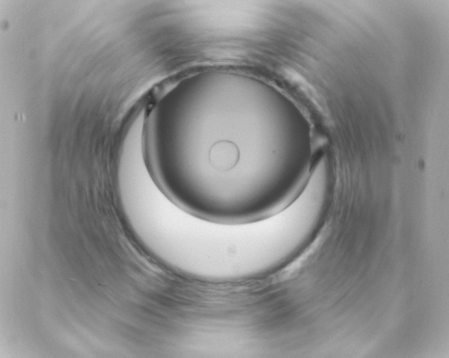 X0000088141449200705291346