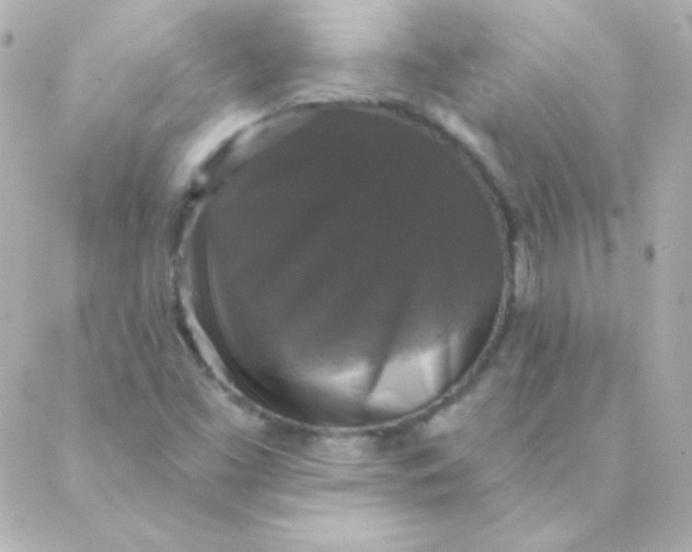 X0000088141453200705291346