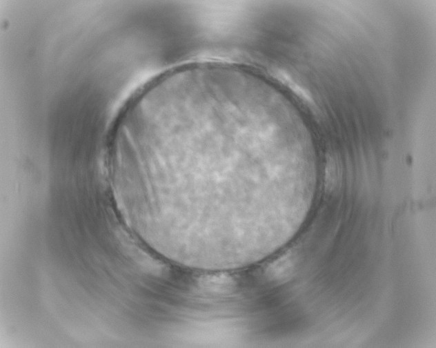 X0000088141454200705291346