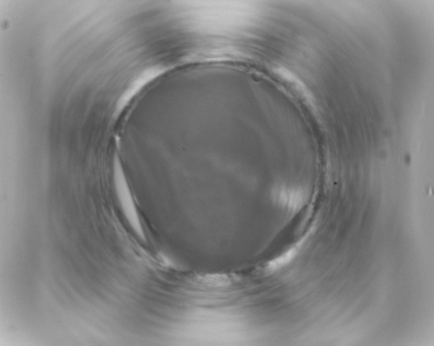 X0000088141457200705291346