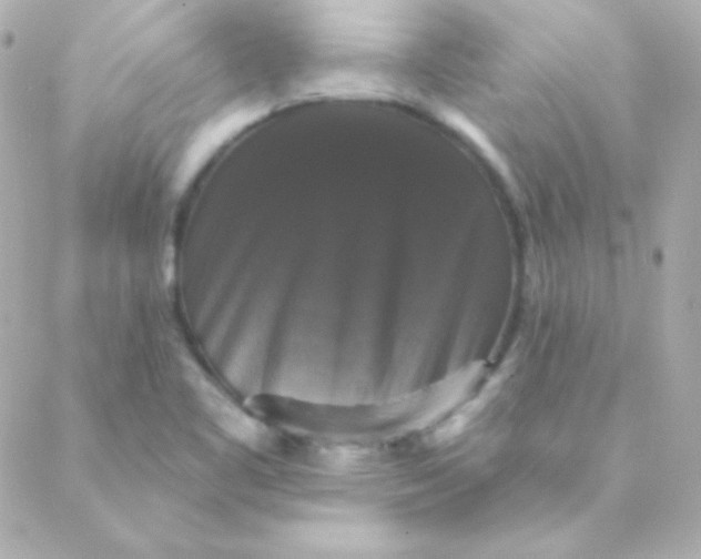 X0000088141461200705291346