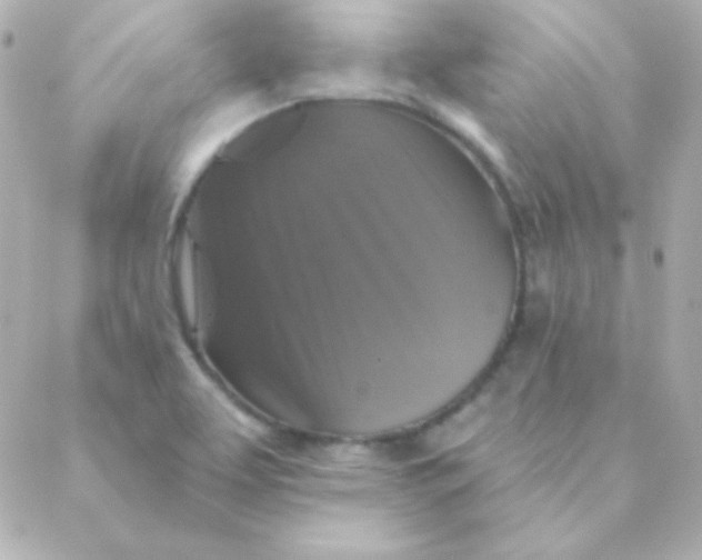 X0000088141463200705291346