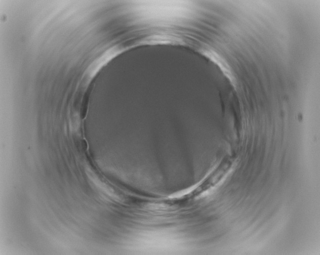 X0000088141465200705291346