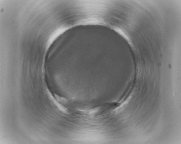 X0000088141469200705291345