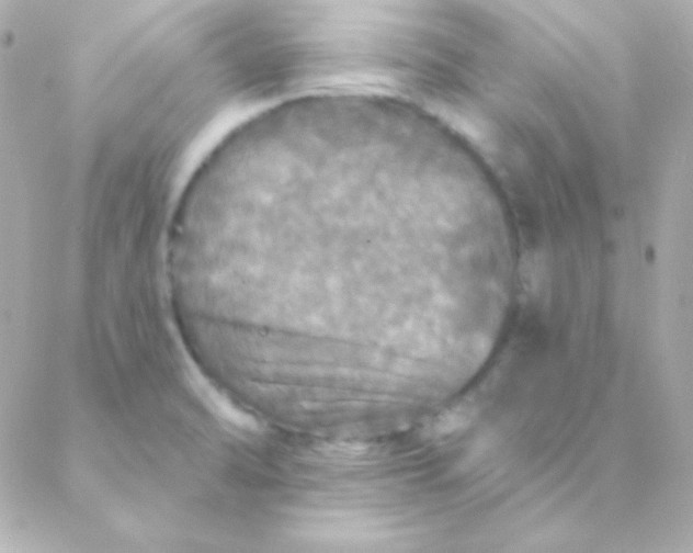 X0000088141470200705291345