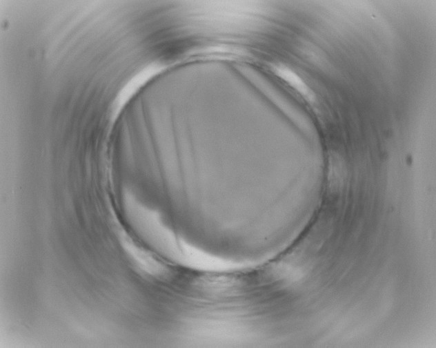 X0000088141474200705291345