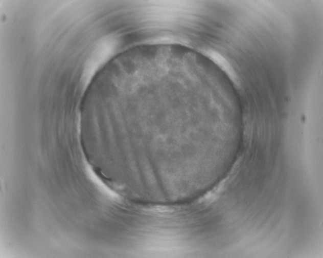 X0000088141476200705291345