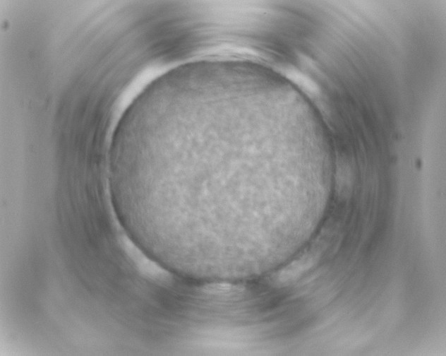 X0000088141478200705291345