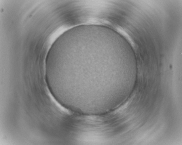 X0000088141479200705291345