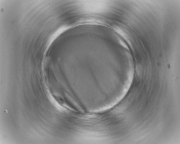 X0000088141482200705291345