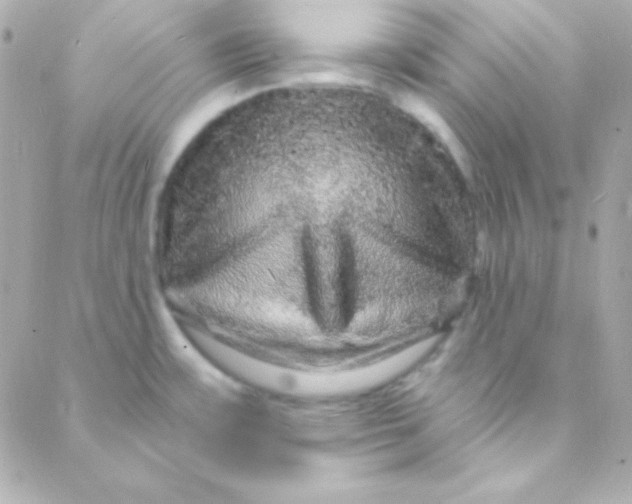 X0000088141483200705291345