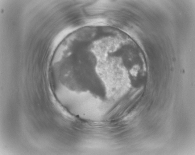 X0000088141488200705291345