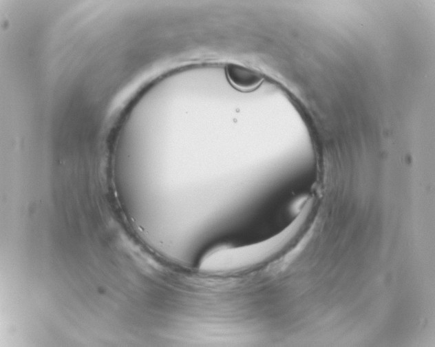 X0000088141502200705291345