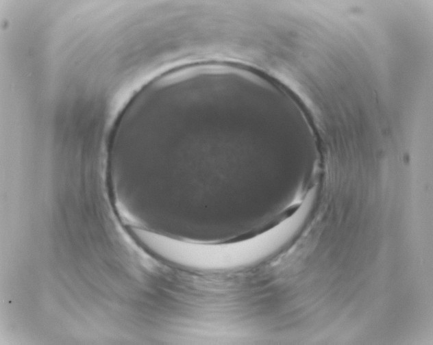X0000088141508200705291345