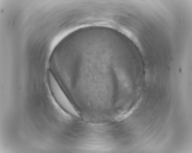 X0000088141520200705291345
