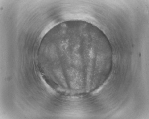 X0000088141521200705291345
