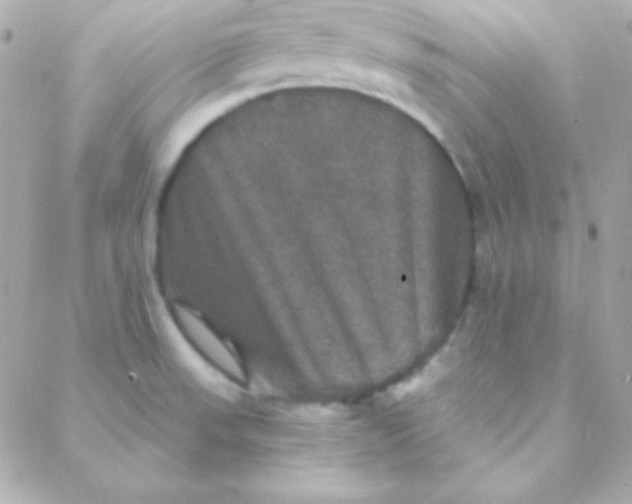 X0000088141523200705291345