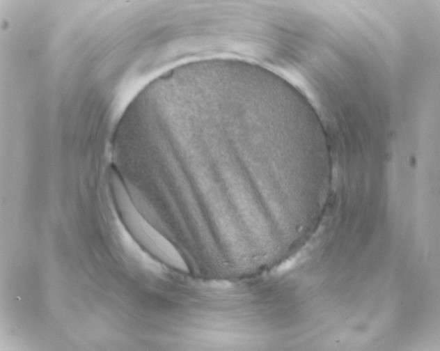 X0000088141524200705291345