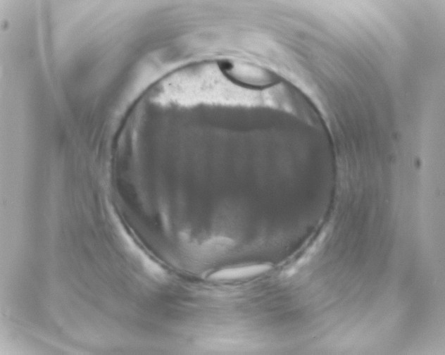 X0000088141525200705291345