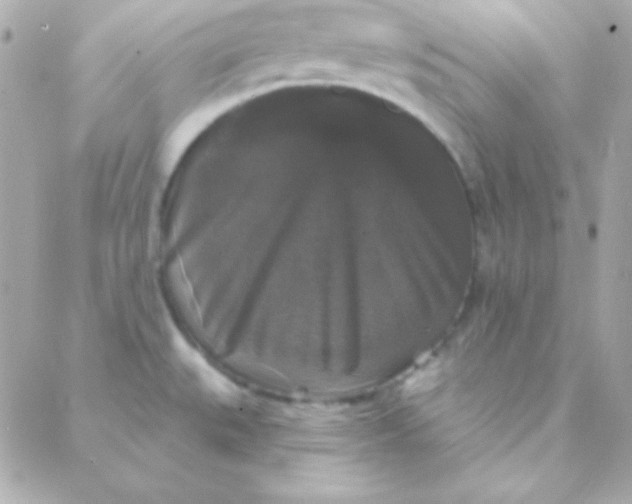 X0000088141527200705291345