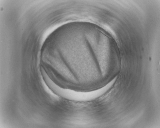 X0000088141528200705291345