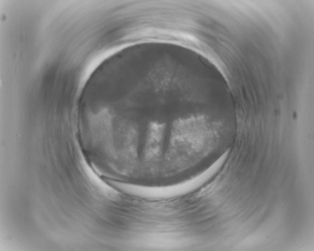 X0000088141531200705291345